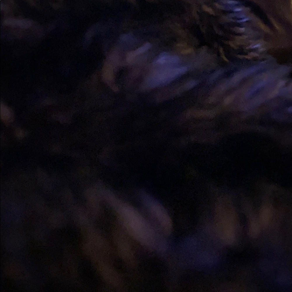 Meet your Posher, Niki